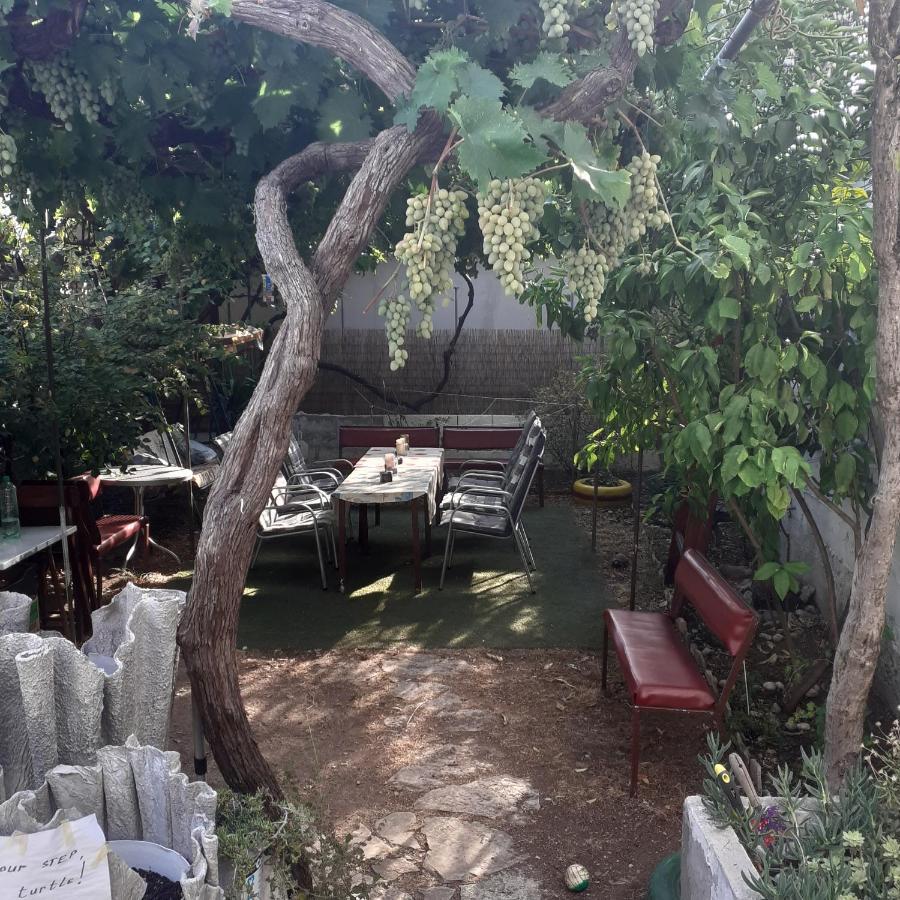 Apartmani Damir Kazija Pakoštane Exteriér fotografie